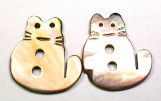 Vintage Shell Button Realistic Carved Kitty Cat Design - 3/4 "