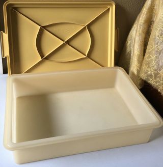 Vintage Tupperware Rectangle Sheet Cake Container Keeper - Made In U.  S.  A