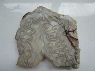 Crazy Lace Agate Slab,  Mexico.  Calcite Pseudomorphs