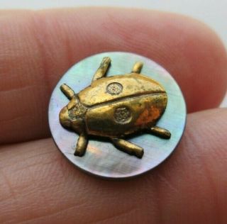 Delightful Antique Vtg Carved Mop Shell/ Metal Picture Button Beetle Insect (c)