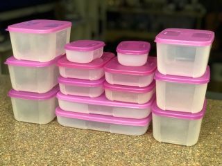 Tupperware Freezer Mates Containers Set Of 14 W/lids Purple