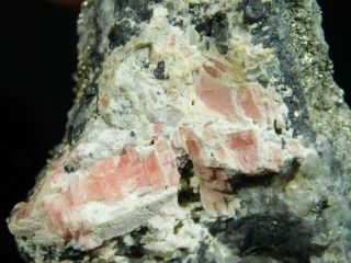 A Rhodochrosite Crystal Cluster From The Sweet Home Mine Colorado 115gr E