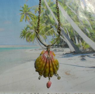 (pecten Langfordi) Sunrise Shell Necklace In 14k Gf Wire.  Handmade