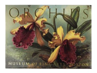 Orchids Stationery Cards Martin Johnson Heade Boston Museum Of Fine Arts