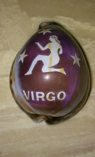 Vintage Tiger Cowrie Carved Sea Shell With Zodiac Virgo