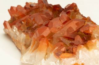 Fine Mineral Specimen Quartz With Hematite Incls.  - Tarya Mine,  Morocco - Big Red