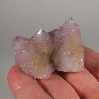 2 " Spirit Amethyst Cactus Quartz Crystal Cluster - Magaliesburg,  South Africa