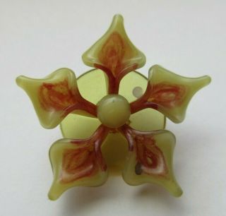 Delightful Large Antique Vtg Extruded Celluloid Button Painted Flower (j)