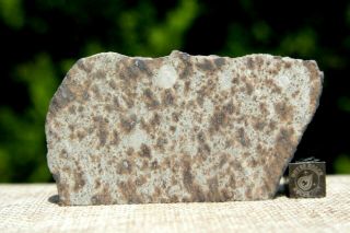 Nwa 7650 L6 Chondrite Meteorite 40.  7 Gram Part Slice With Metal