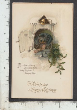 A154 Christmas Postcard Puppy Dog Ringing Bell A.  G.  Rosenburg,  Petersburg,  Ny