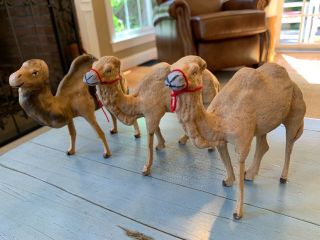 3 German Camels Putz Stick Leg Antique Nativity Toy