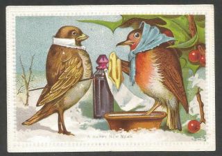 L44 - Anthropomorphic Birds - Goodall - Victorian Xmas Card - 1878
