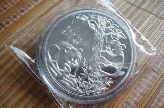 China Shanghai 99.  99 5 Oz Ag.  999 Silver 1990 Year Panda Silver Coin