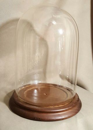 Enesco Display Glass Dome With Wooden Base