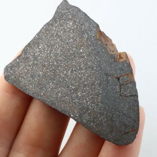 16g Rare Chondrite Meteorite Crust Meteorit Chondrit Slice Ql A3079