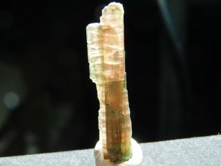 A Long 100 Natural Watermelon Tourmaline Crystal From Brazil 4.  32 E