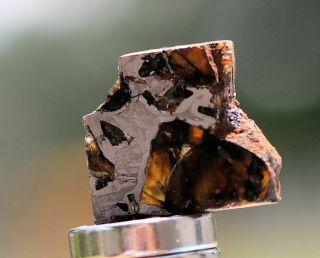 Admire Pallasite Meteorite,  3.  1 Grams,  Kansas