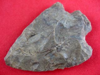 Authentic Tennessee Dover Cotaco Creek Point Arrowheads