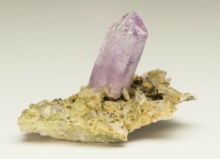 Fine Mineral Specimen - Amethyst - Piedra Parada,  Vera Cruz,  Mexico - On Matrix