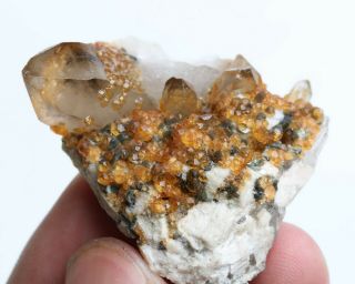 20.  5g Natural Smoky Quartz Crystal Garnet Spessartine Mineral Specimen