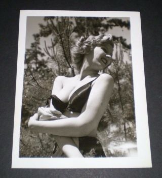 Sexy Stripping Naturist Model - Vintage 4x5 Photo - Original/pinup/girl/nude/art