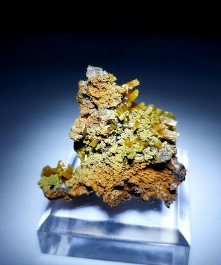 Neat - Yellow Wulfenite Crystals & Green Mimetite On Matrix,  Mine Mexico