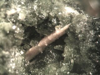 Cuspidine Rare Mineral Micromount From Italy