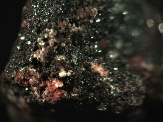 Mitridatite Rare Mineral Micromount From Australia
