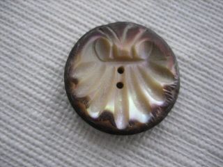 Vintage Med 7/8 " Two Tone Carved " Shell " Mop Mother Of Pearl Shell Button - Pb61