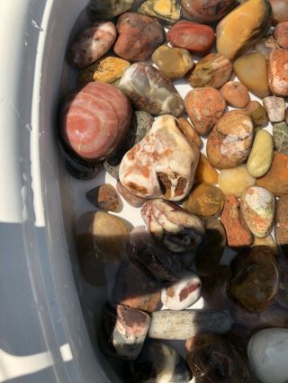 Lake Superior Agate - Mixed Stones - 5 Lbs Pounds - Rough - Michigan - More Pics