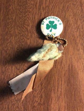 Vintage Button Pin Ribbon St Patrick 