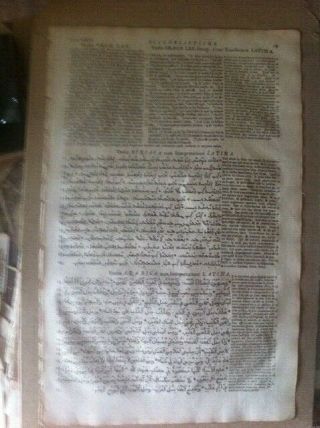 1657 Polyglot Bible Syriac Greek Arabic Latin