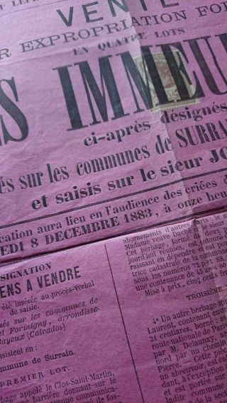 Antique French Notaires Lawyers Poster Dated 1883