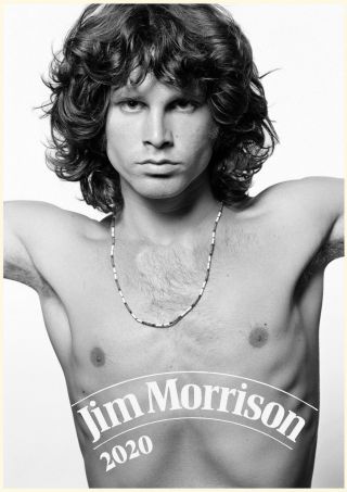 2020 Wall Calendar [12 Page A4] The Doors Jim Morrison Rock Music Photo M1172