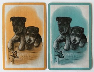 Vintage Swap/playing Cards - 2 Puppies / Dogs With A Butterfly