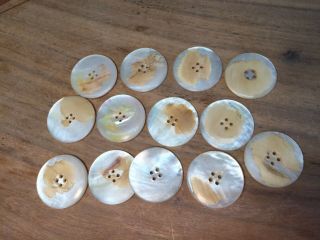 Large vintage mother of pearl buttons - approx 1 - 1/4 inches 5