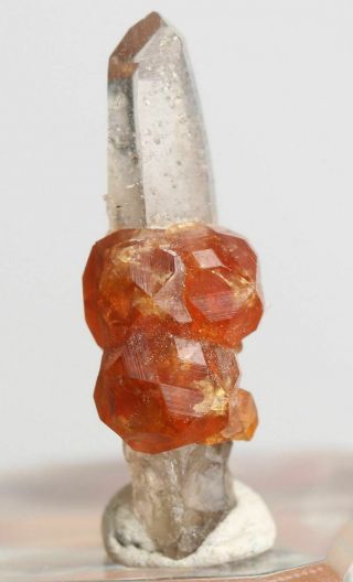 1.  1g Natural Smoky Quartz Crystal Garnet Spessartine Mineral Specimen