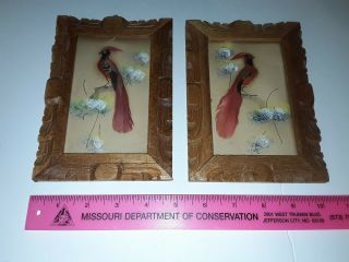 Pair Vtg Mexican Folk Art Feathercraft Red Bird Feather Picture Framed 7×5 "