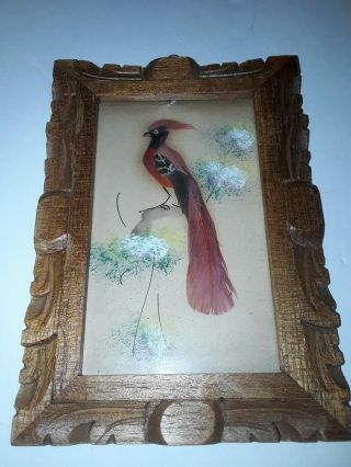 Pair VTG Mexican Folk Art Feathercraft Red Bird Feather Picture Framed 7×5 