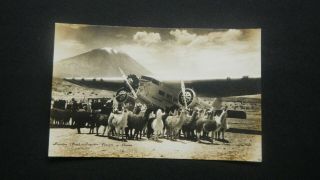 PerÚ: Old Photo Poscard,  Trimotor Panagra & Llamas,  Arequipa Airport.  Wow