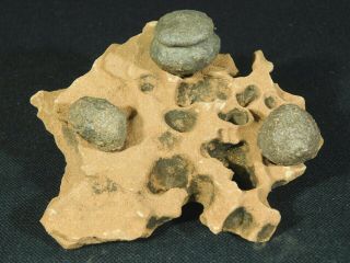 Three Moqui Marbles On A 100 Natural Navajo Sandstone Formation Utah 204gr