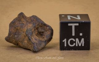 Meteorite Agoudal " Imilchil " Iron Iiab Atlas Mts Morocco Natural Patina 3 Gr