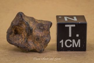 Meteorite Agoudal 