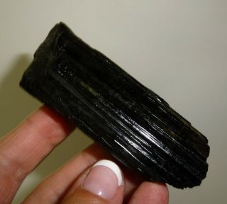 Dino: Black Tourmaline Crystal Specimen,  Brazil - 110 G - Reiki Crystal