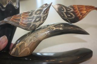 - Carved Horn Collectible 2 Carved Birds on Carved Horn/Artist Bud Hlakk 5