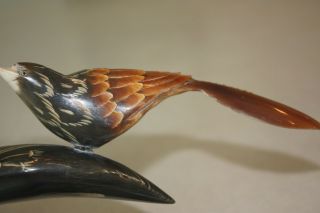 - Carved Horn Collectible 2 Carved Birds on Carved Horn/Artist Bud Hlakk 8