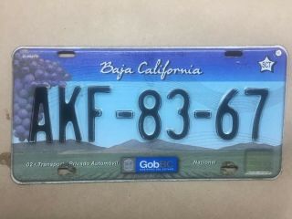 Baja California Mexico Grape License Plate Expired Graphic Akf8367