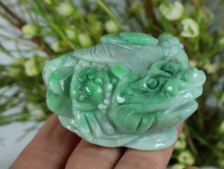 Certified Natural Green（grade A）jade Jadeite Toad Statue 73182h1n5 招财金蟾