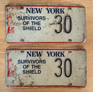 York State Statue Of Liberty License Plates Survivors Of The Shield 30 Nypd
