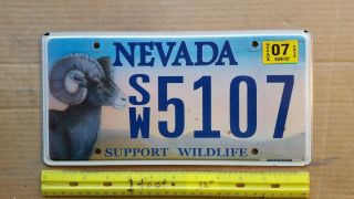 License Plate,  Nevada,  Support Wildlife,  Big - Horned Sheep,  Sw 5107
